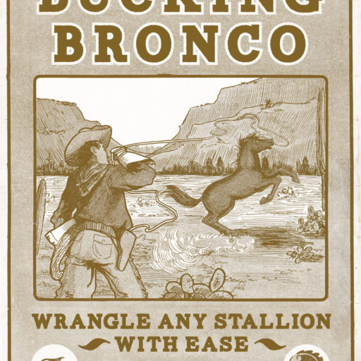 Bucking Bronco Poster